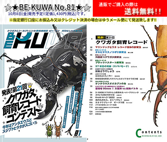 ☆★BE-KUWA No.81★☆10月8日(金)発売予定!!
