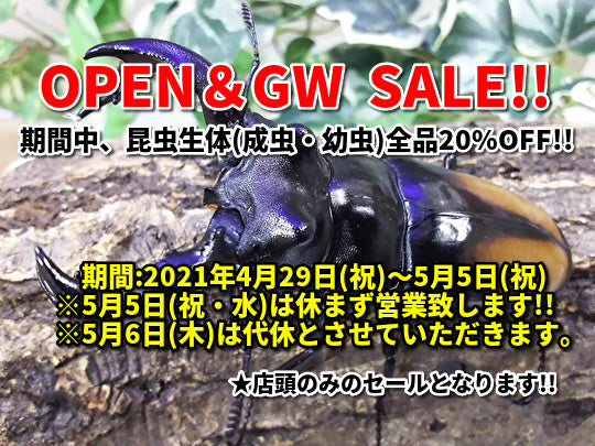 OPEN＆GW SALE!!