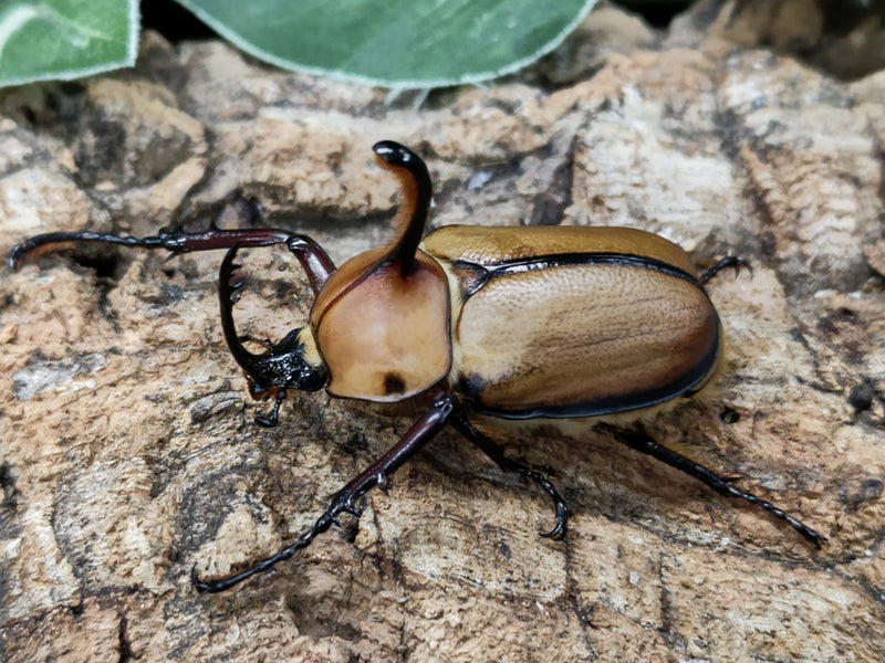 2022.5.5.新入荷!!