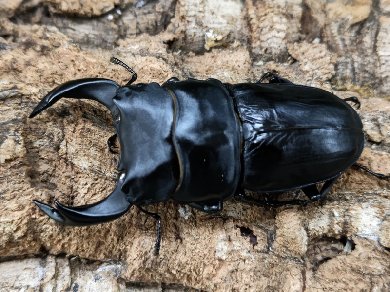 2022.5.6.新入荷!!