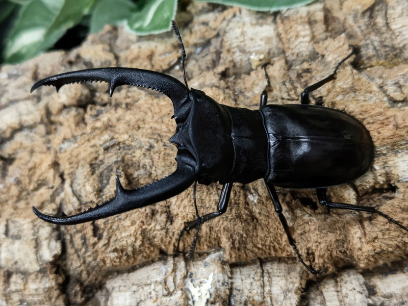 2022.05.07 新入荷！