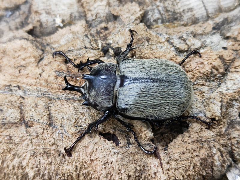 2023.1.5.新入荷!!