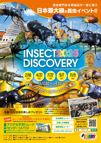 INSECT DISCOVERY 2025-11月出店業者決定!!