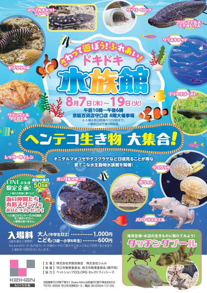 さわって遊ぼう!ふれあい!ドキドキ水族館が開催!!