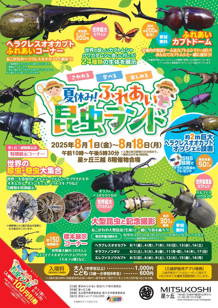 夏休み!ふれあい昆虫ランド開催!!