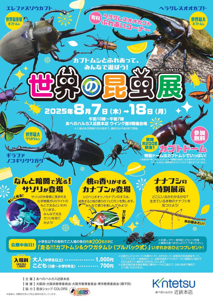 あべのハルカス!世界の昆虫展開催!!