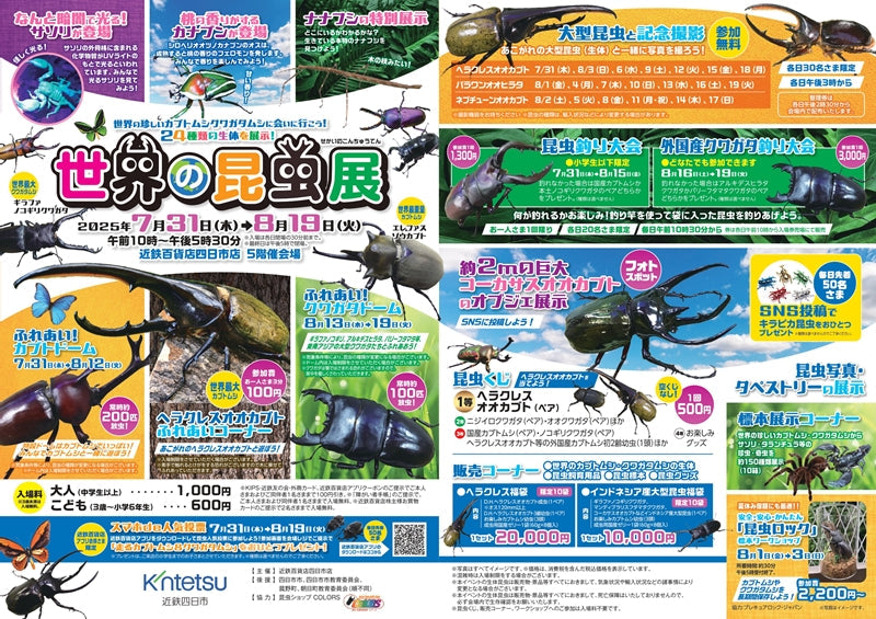 近鉄百貨店四日市店 世界の昆虫展開催!!