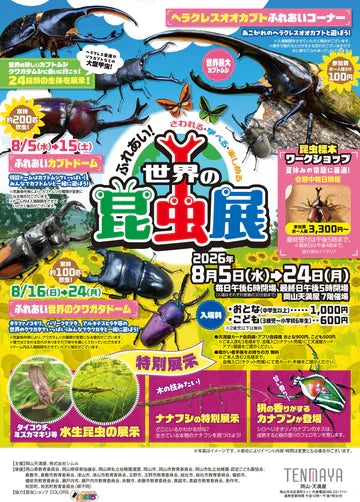 岡山天満屋　ふれあい!世界の昆虫展設営完了!!