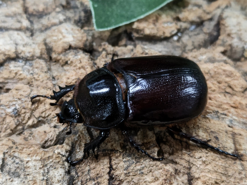 2022.5.13.新入荷!!