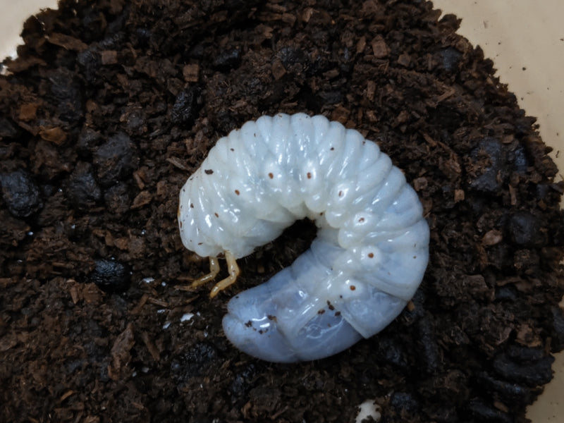 2022.5.14.新入荷!!