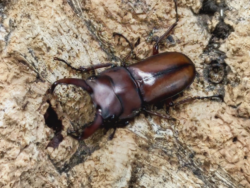 2022.5.21.新入荷!!