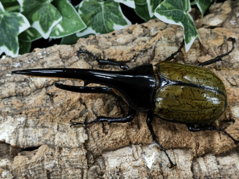 2022.5.22.新入荷!!