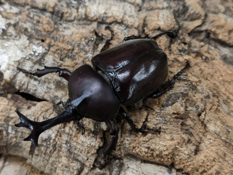 2022.5.24.新入荷!!