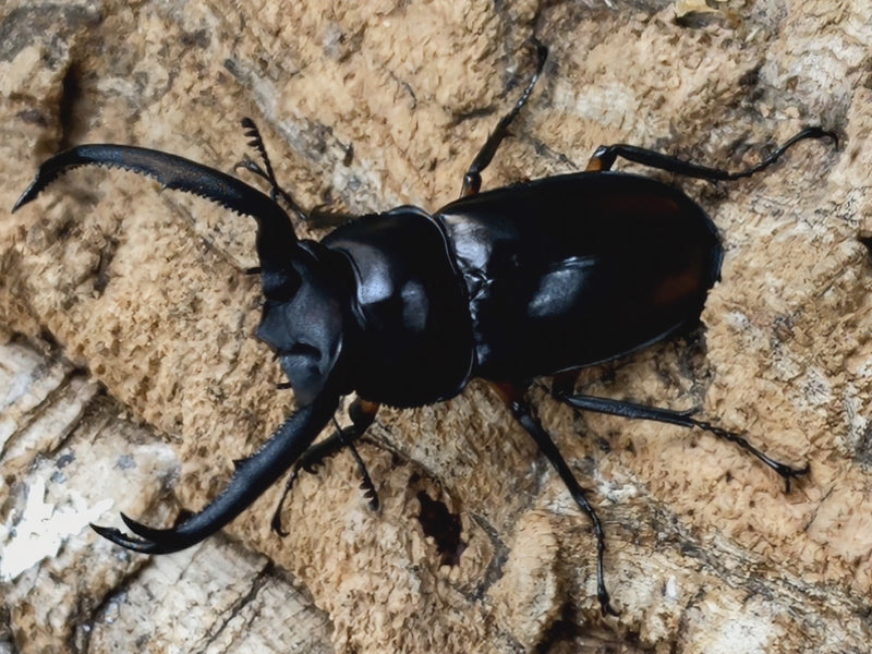 2022.6.2.新入荷!!