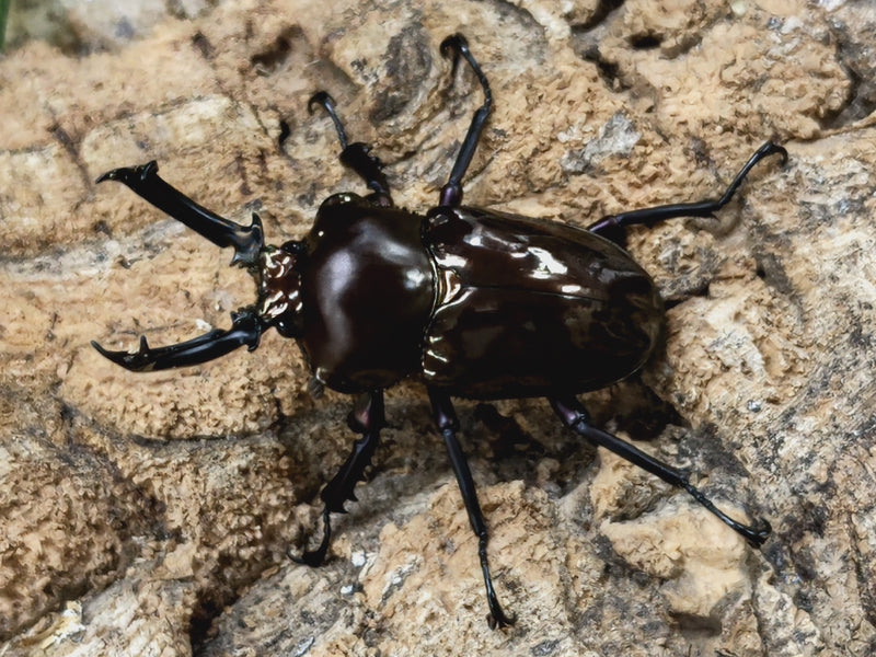 2022.6.6.新入荷!!