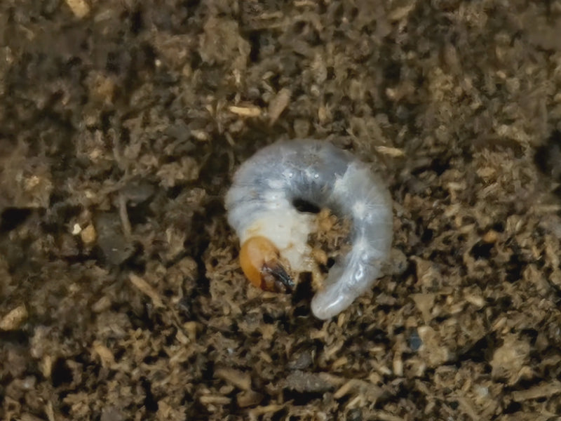 2022.6.7.新入荷!!