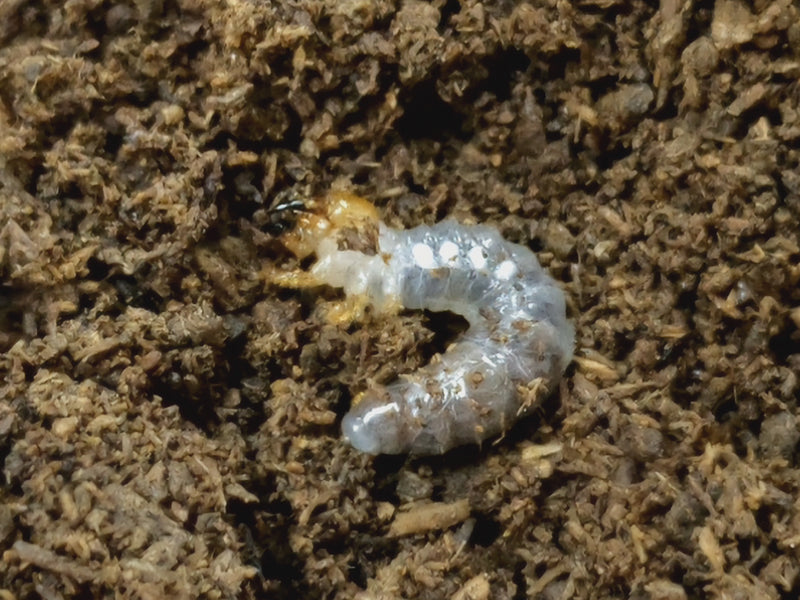 2022.6.16.新入荷!!