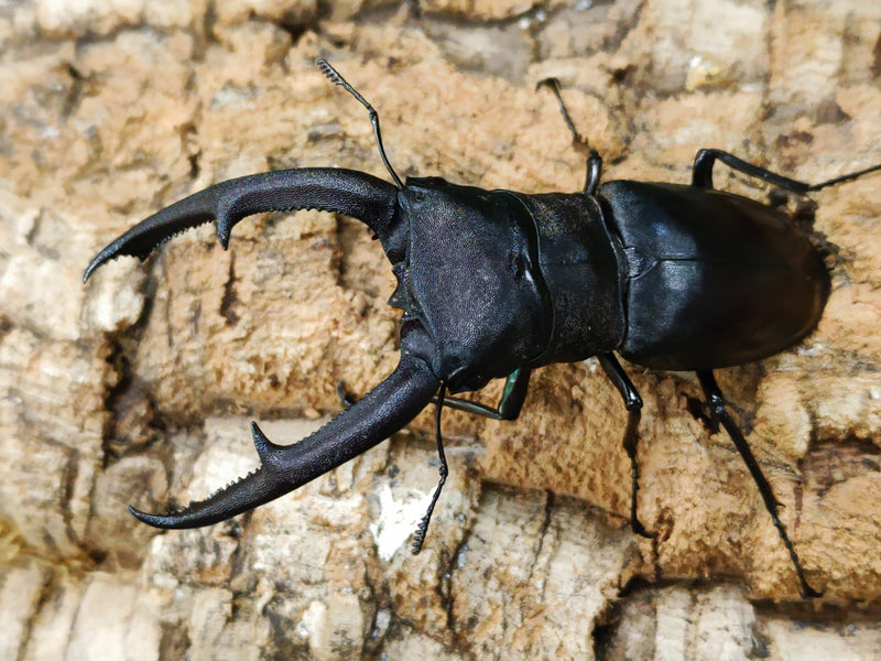 2022.6.18.新入荷!!