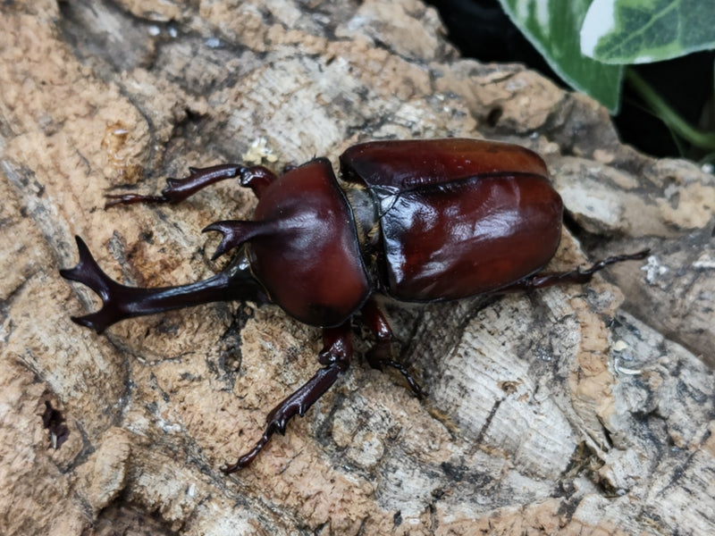 2022.6.20.新入荷!!