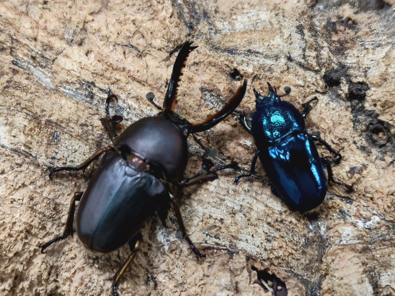 2022.6.21.新入荷!!