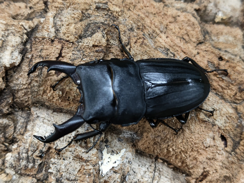 2022.6.23.新入荷!!