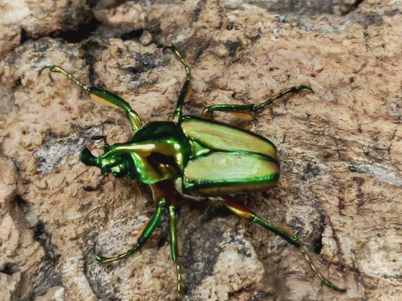 2022.7.2.新入荷!!