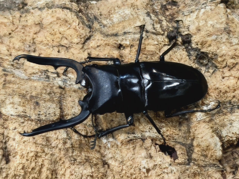 2022.7.4.新入荷!!