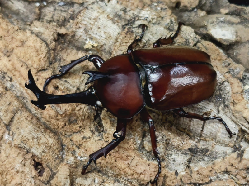 2022.7.5.新入荷!!