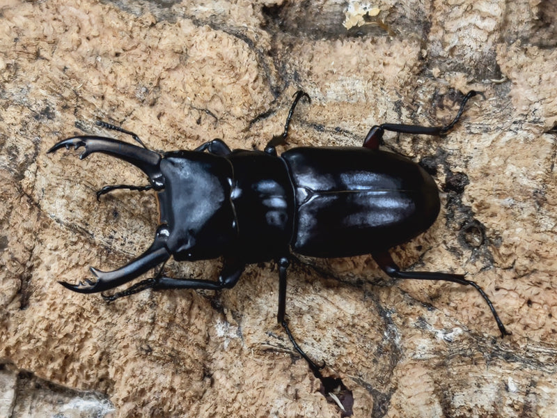 2022.7.9.新入荷!!