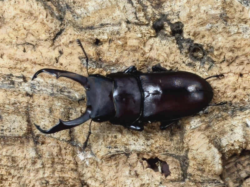 2022.7.10.新入荷!!