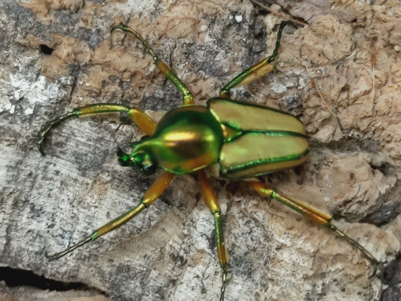 2022.7.11.新入荷!!