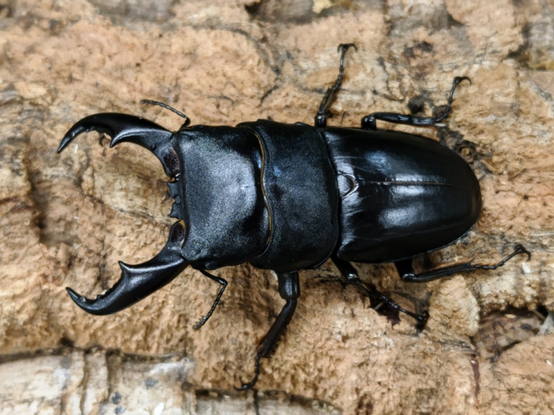 2022.7.16.新入荷!!