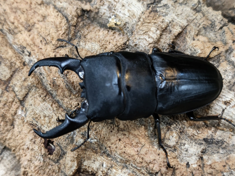 2022.7.28.新入荷!!