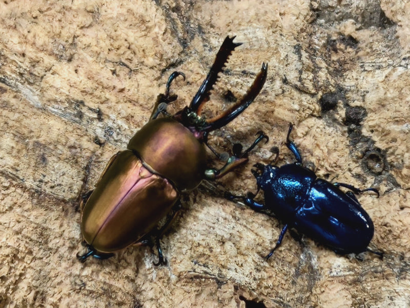 2022.7.29.新入荷!!