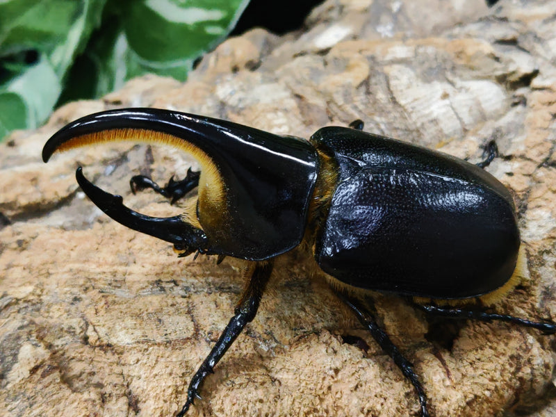 2022.7.30.新入荷!!