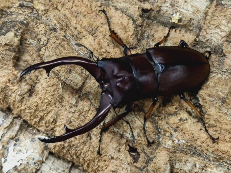 2022.8.4.新入荷!!