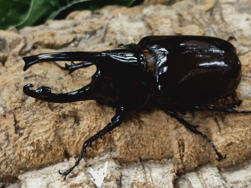 2022.8.7.新入荷!!