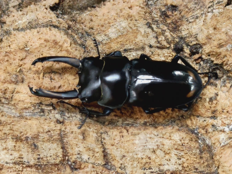 2022.8.12.新入荷!!