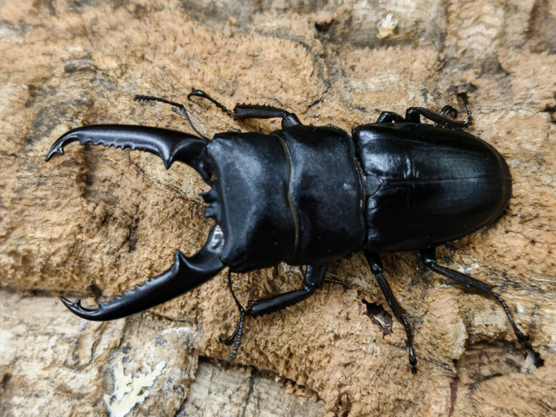 2022.8.14.新入荷!!