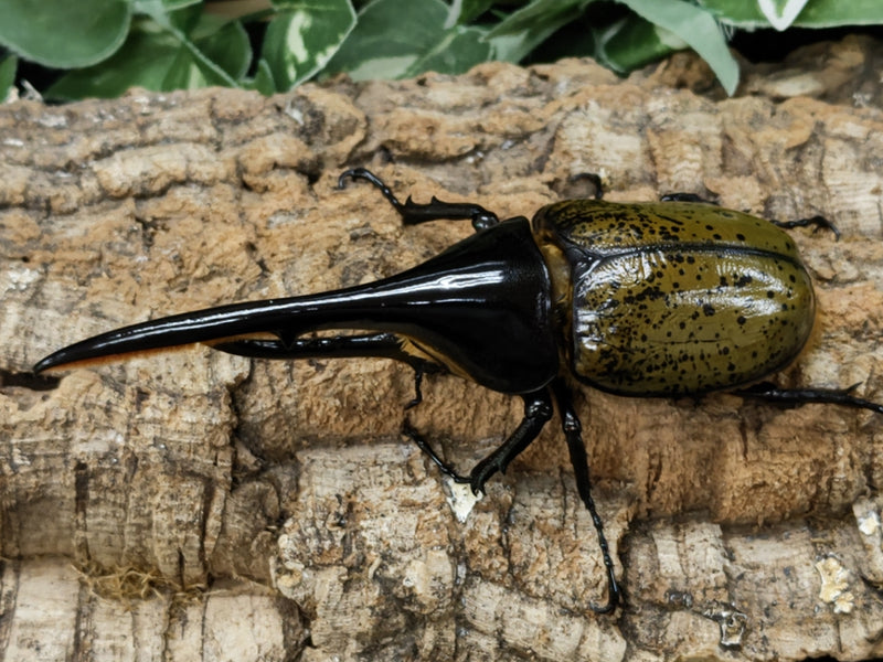 2022.8.18.新入荷!!