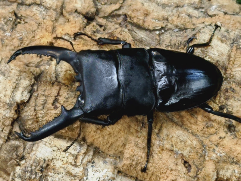 2022.8.19.新入荷!!