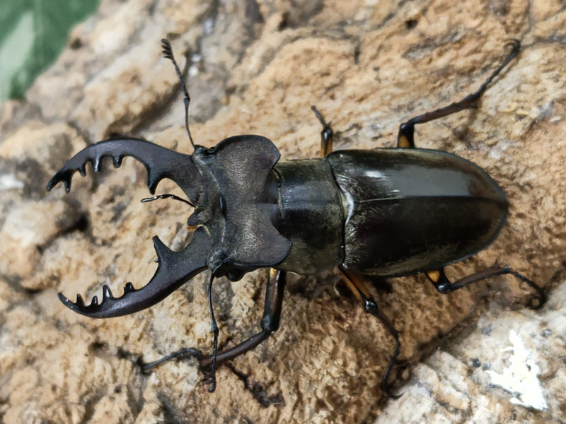 2022.8.20.新入荷!!