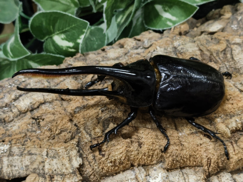 2022.8.22.新入荷!!