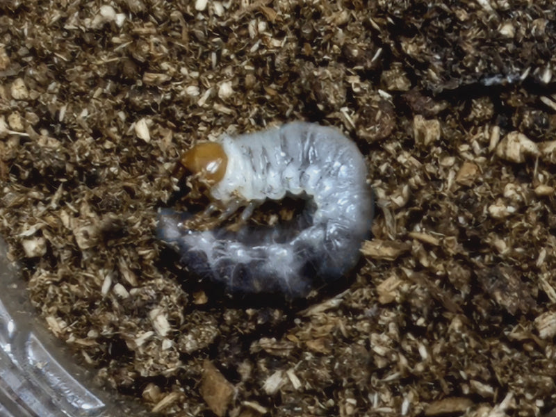 2022.8.23.新入荷!!