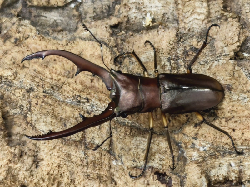 2022.8.29.新入荷!!