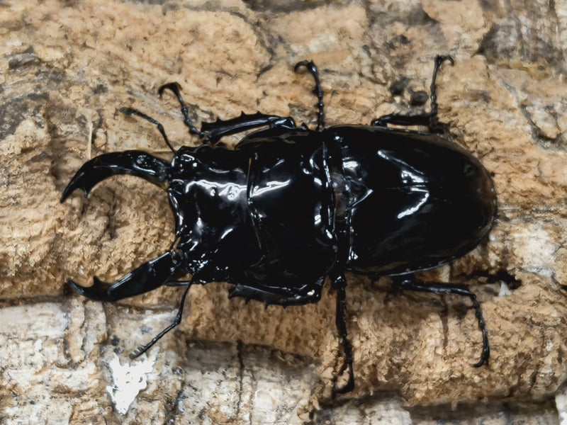 2022.8.30.新入荷!!