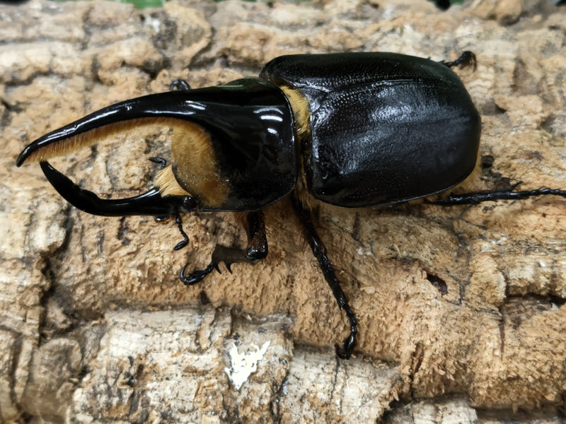 2022.9.2.新入荷!!