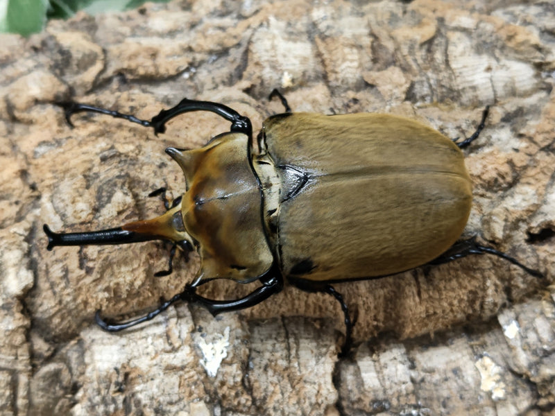 2022.9.3.新入荷!!