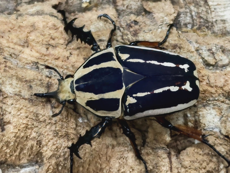 2022.9.4.新入荷!!