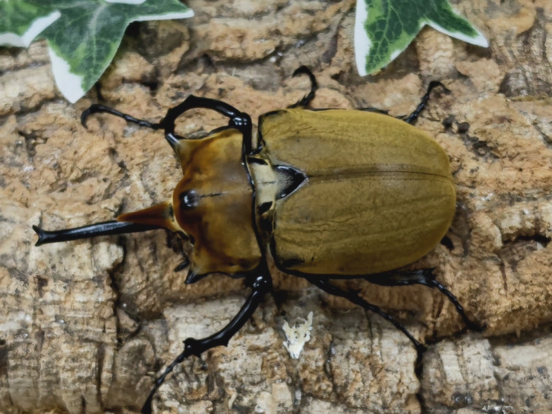 2022.9.9.新入荷!!